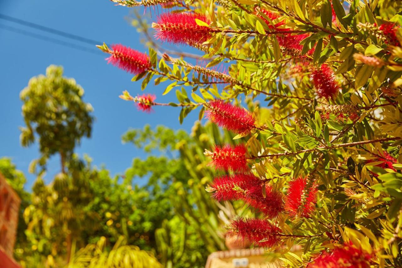 Finca Fenix Διαμέρισμα Alora Εξωτερικό φωτογραφία